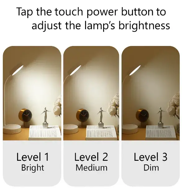 ChatGPT Image Aug 24, 2025, 08_52_22 AM.webp