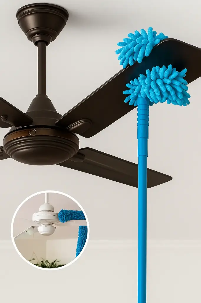 ChatGPT Image Aug 24, 2025, 07_19_10 AM.webp