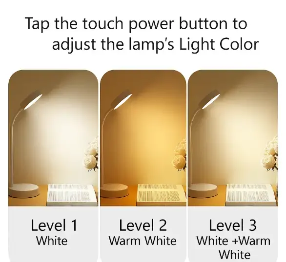 ChatGPT Image Aug 24, 2025, 08_52_09 AM.webp